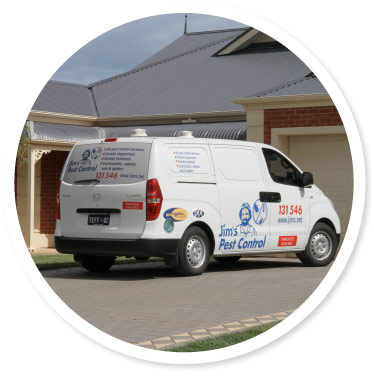 Pest control Lithgow